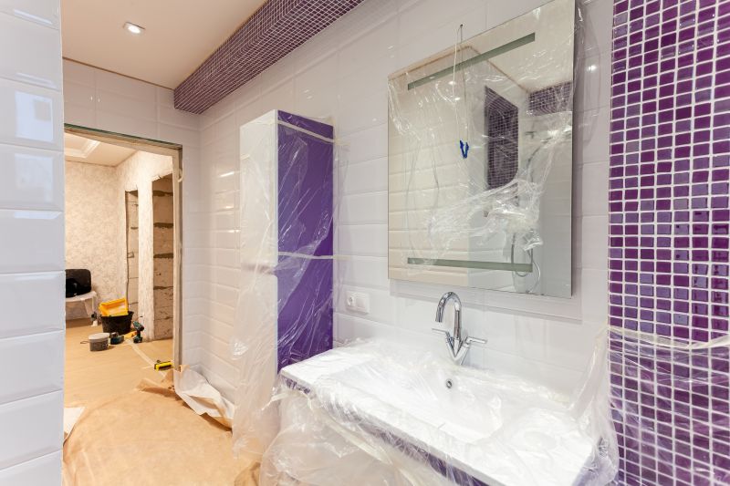 Bathroom Modification in Sarasota, FL